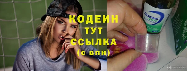 дмт Абаза