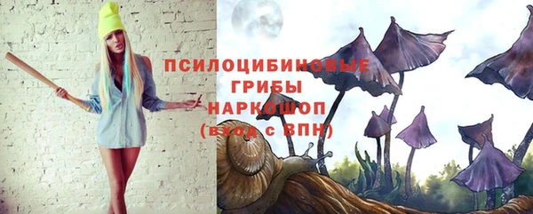 дмт Абаза